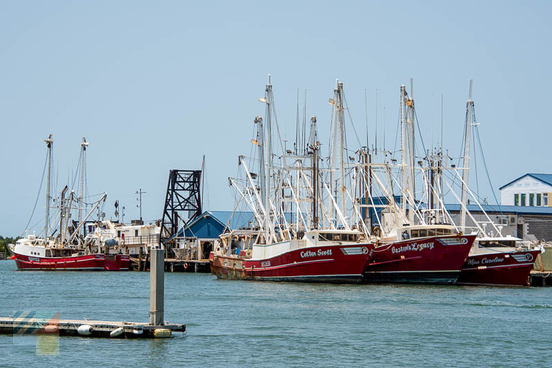 Fishing boats in the Newport River