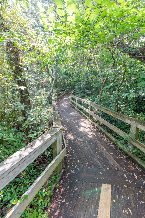 Hoop Pole Creek Preserve