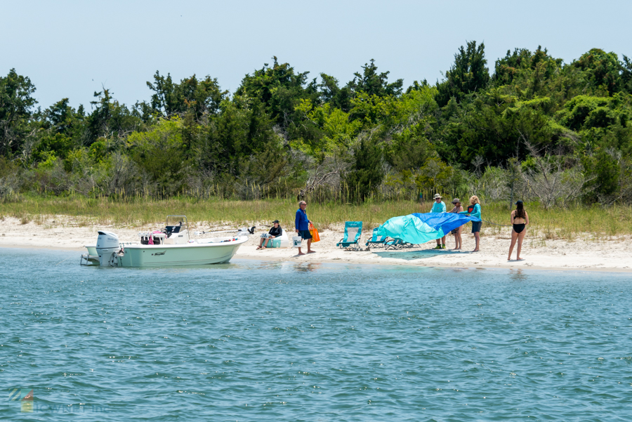 Rachel Carson Reserve Beach Day