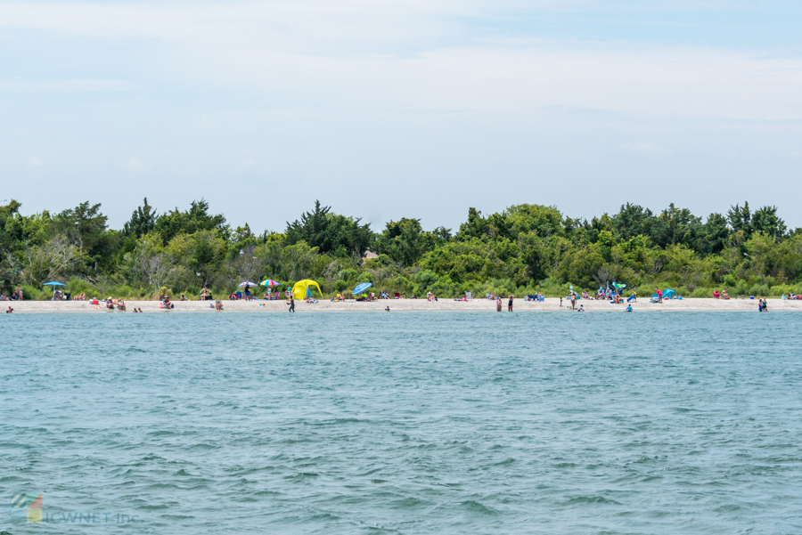 Rachel Carson Reserve in Beaufort NC