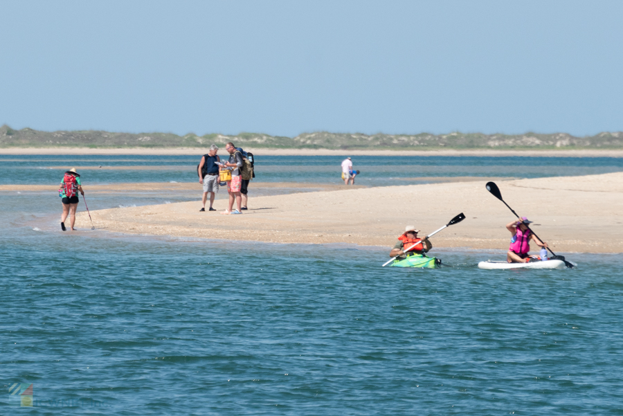 Visitors to nearby Shackleford Banks