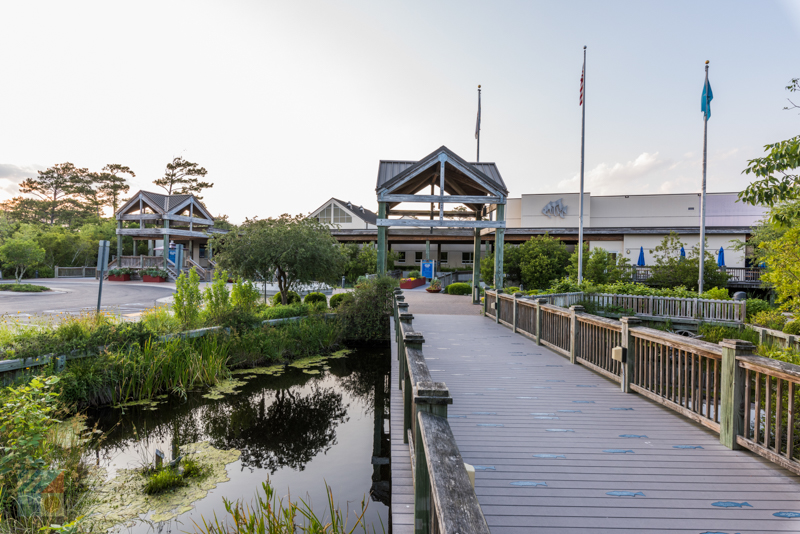 NC Aquarium at Pine Knoll Shores