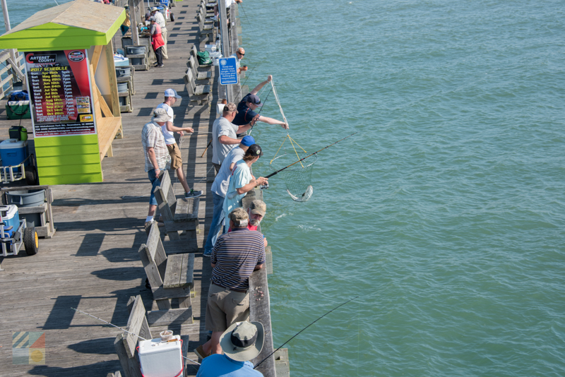 Cast a line from the Bogue Inlet Fishing Pier