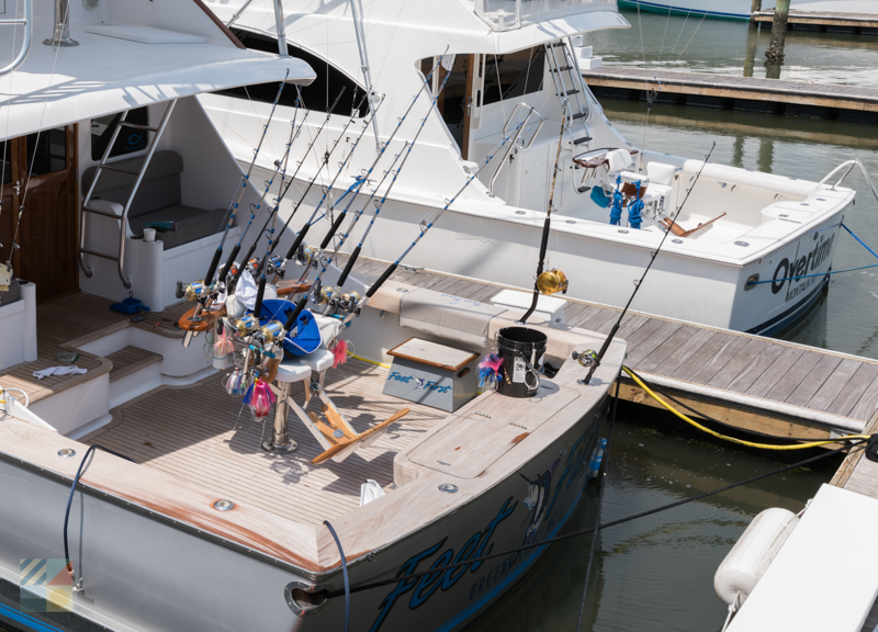 Many headboats are available in Morehead City