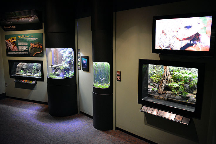 Exhibits at N.C. Aquarium at Pine Knoll Shores