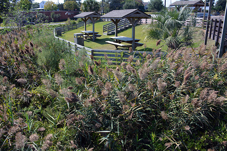 Waterfront park at Swansboro, NC