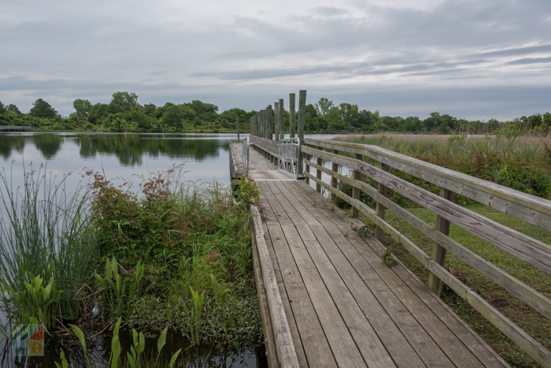 Lawson Creek Park dock