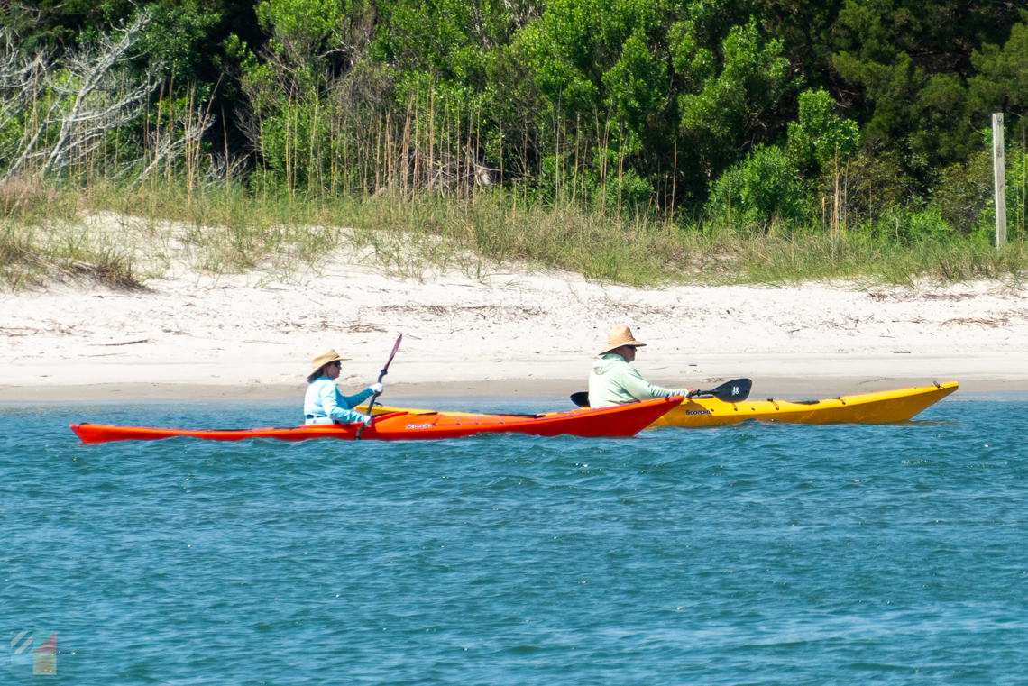 Rachel Carson Reserve