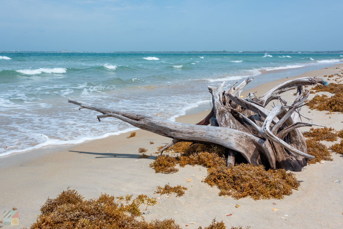 Shackleford Banks