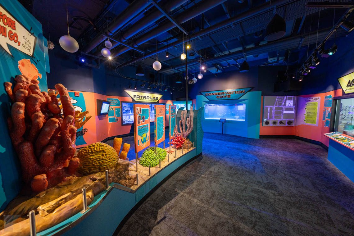 NC Aquarium Pine Knoll Shores