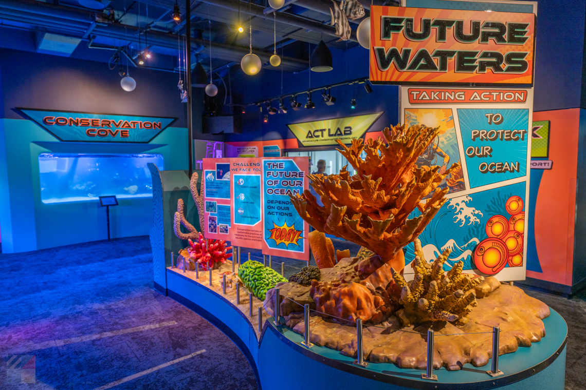 NC Aquarium Pine Knoll Shores