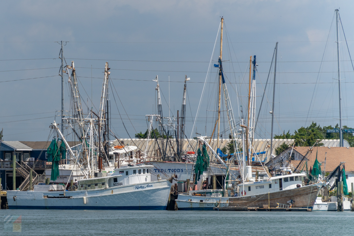 Fishing boats on the Newport River