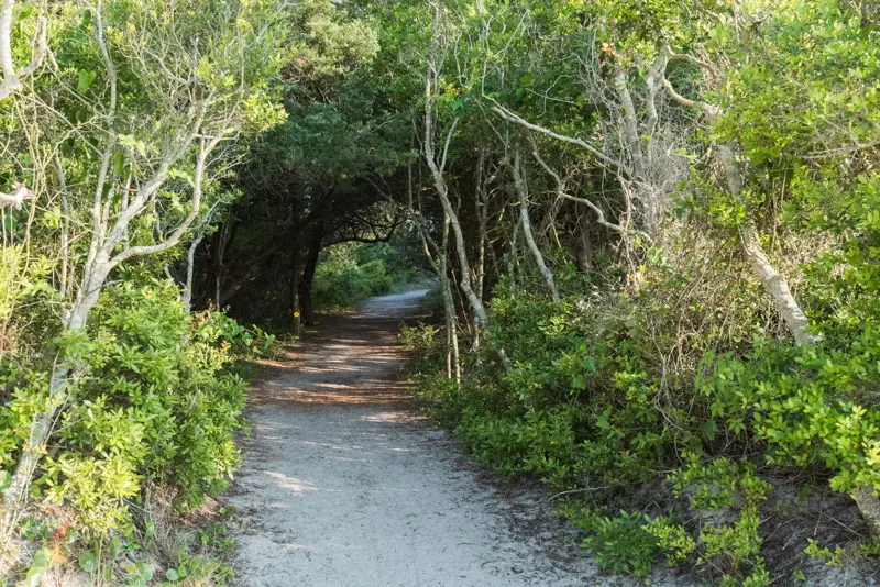 Fort Macon State Park
