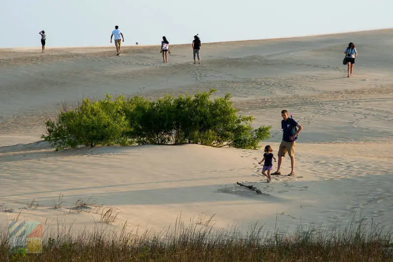 Jockeys Ridge State Park