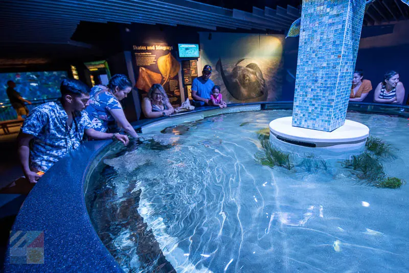 NC Aquarium at Pine Knoll Shores
