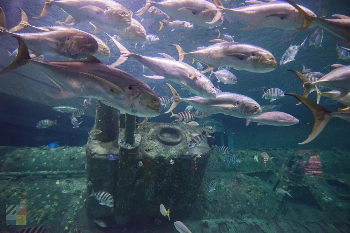 Crystal Coast Area Photo Tours and Travel Information