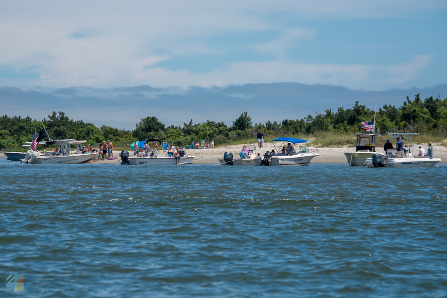 Rachel Carson Reserve