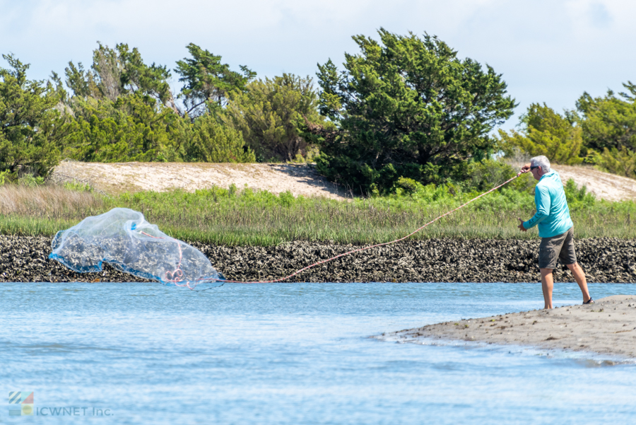 Rachel Carson Reserve
