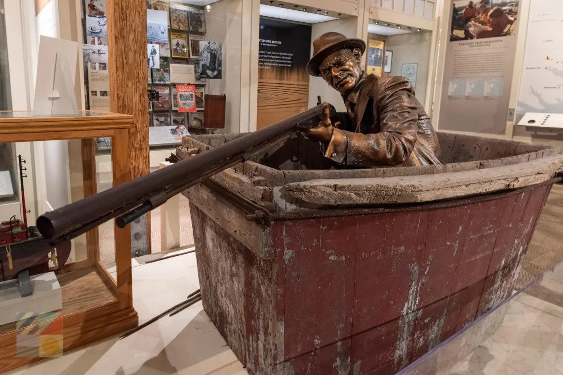 Outer Banks Center for Wildlife Education