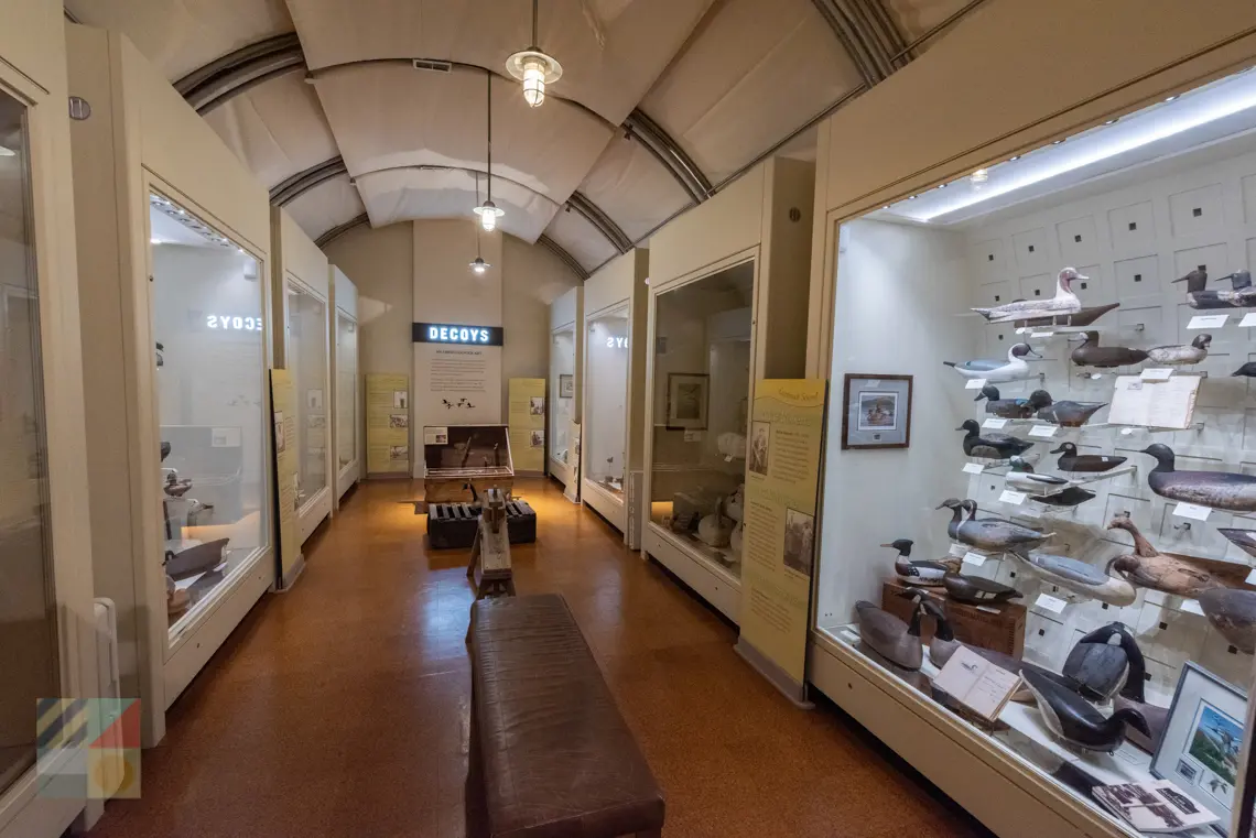 Outer Banks Center for Wildlife Education