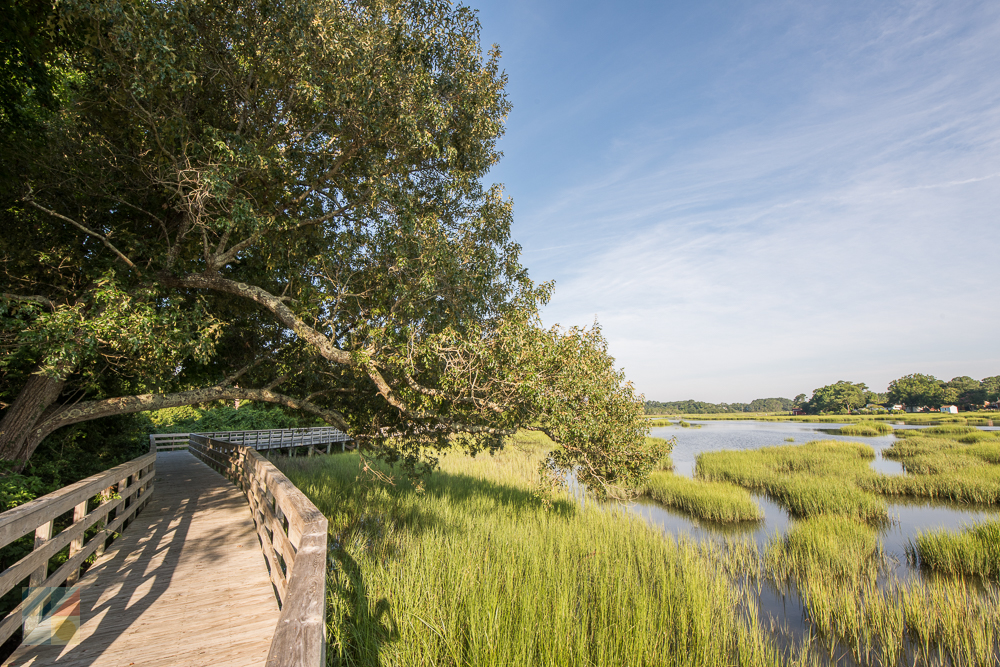 Calico Creek Boardwalk in Morehead City NC