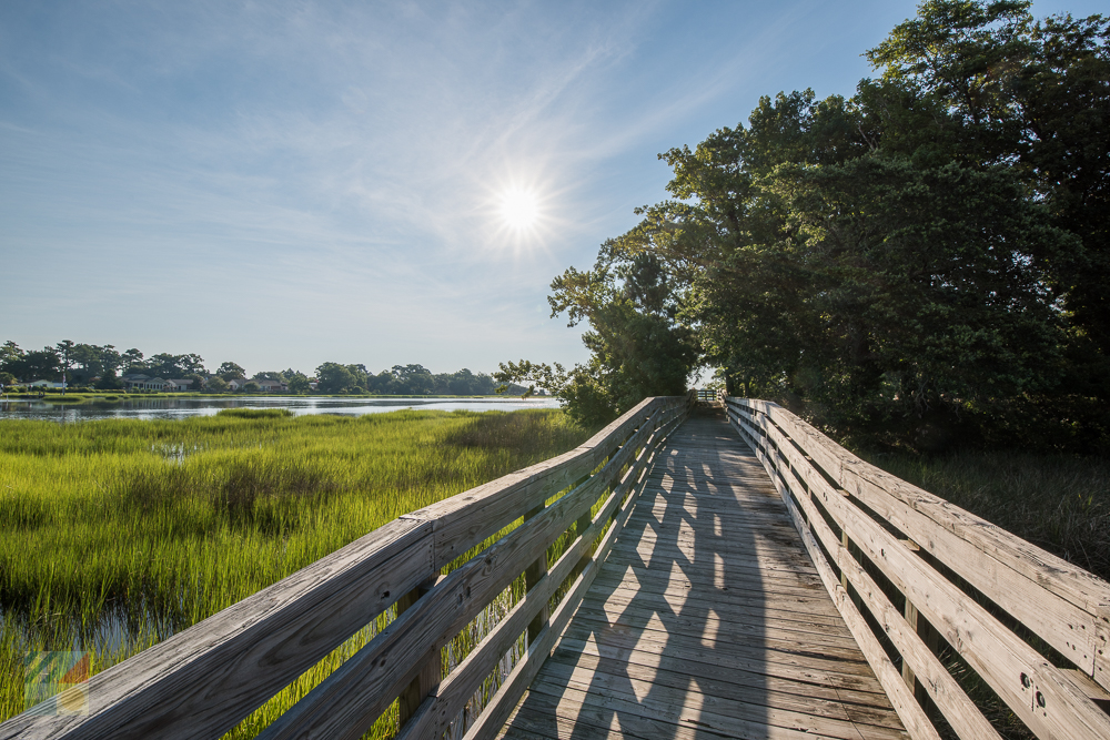 Calico Creek Boardwalk in Morehead City NC