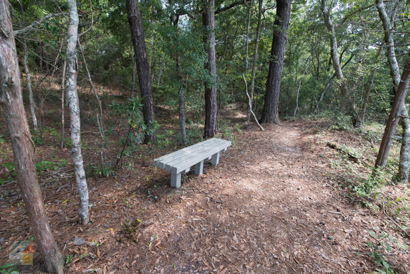 Theodore Roosevelt Natural Area