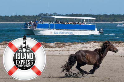 Shackleford Banks Wild Horses Crystalcoast Com