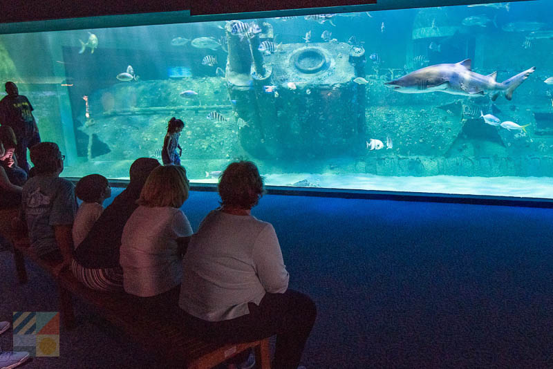 NC Aquarium at Pine Knoll Shores
