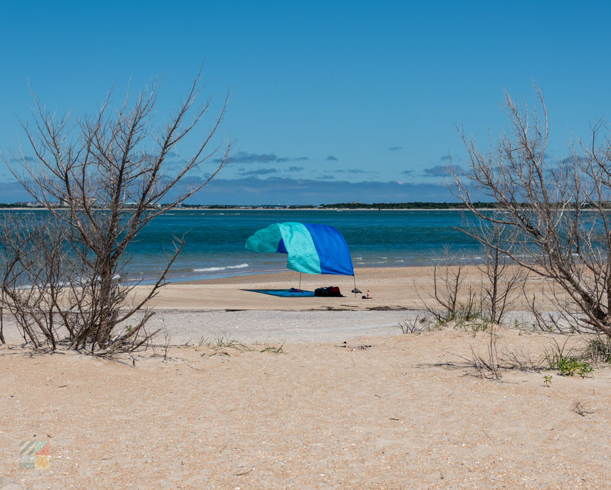 Shackleford Banks