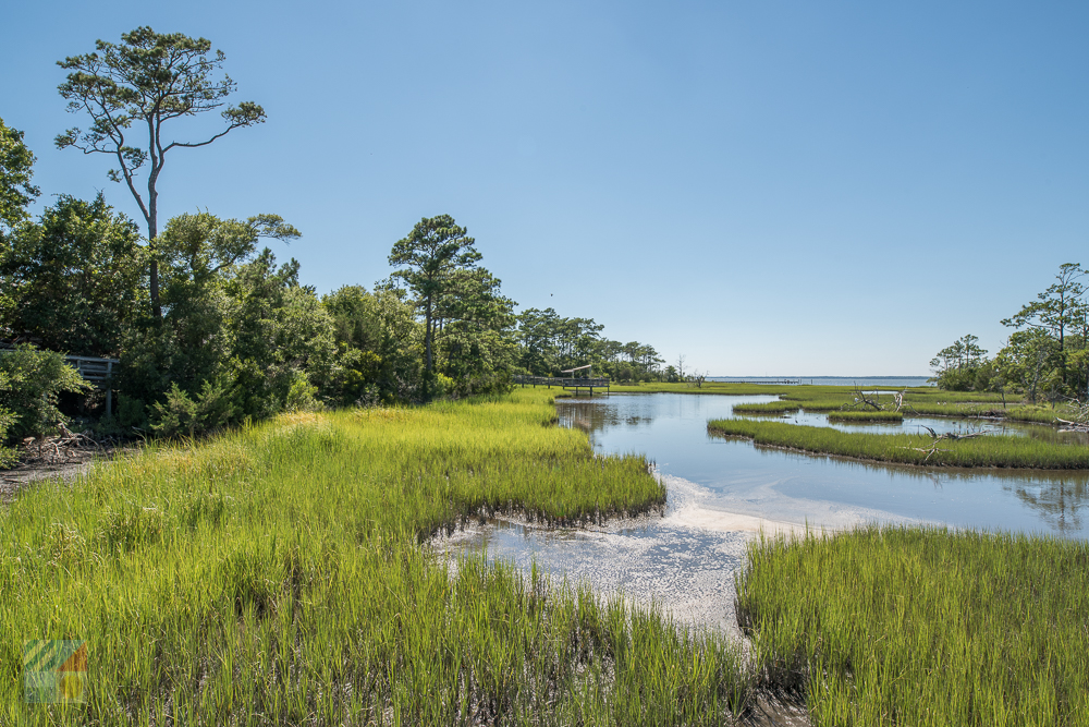 Croatan National Forest