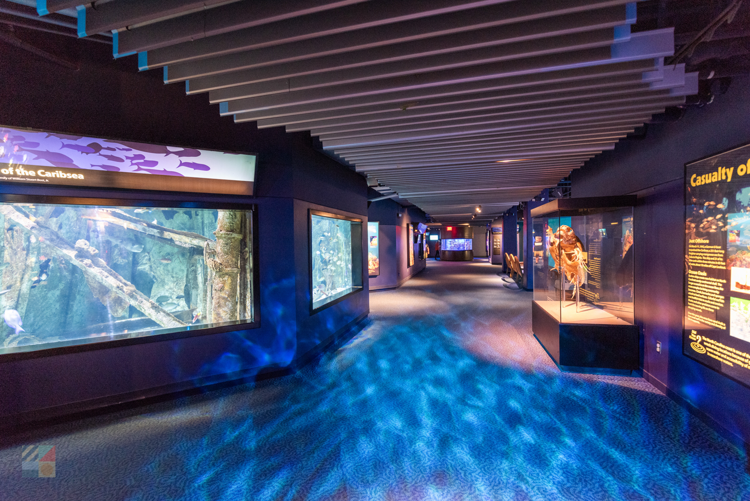 NC Aquarium Pine Knoll Shores