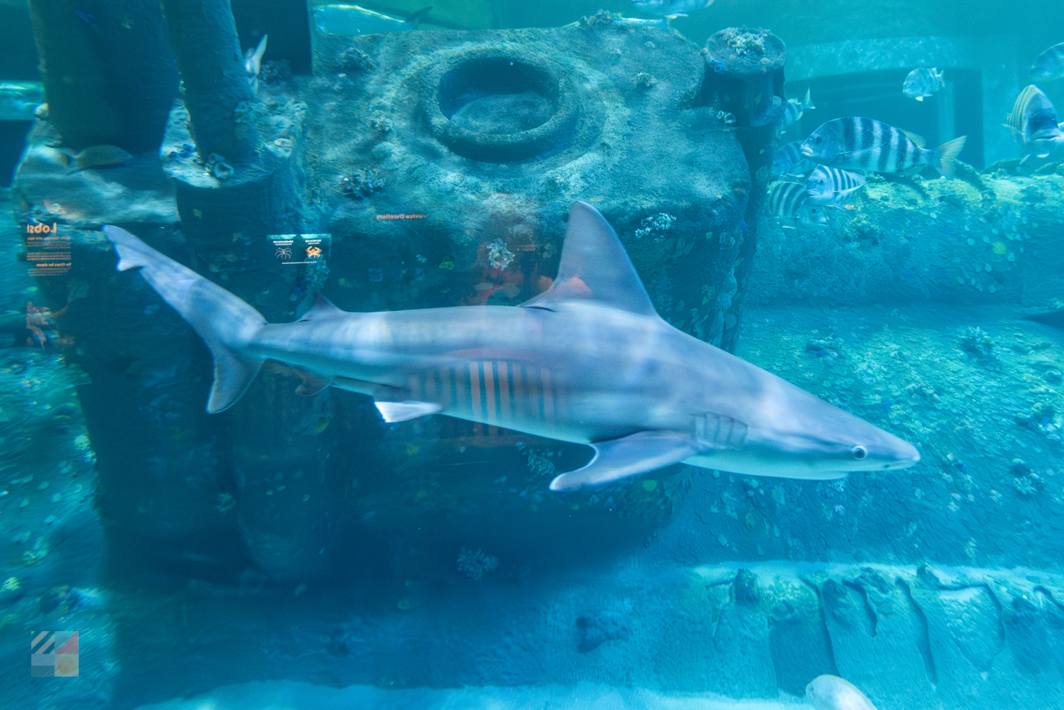 NC Aquarium Pine Knoll Shores