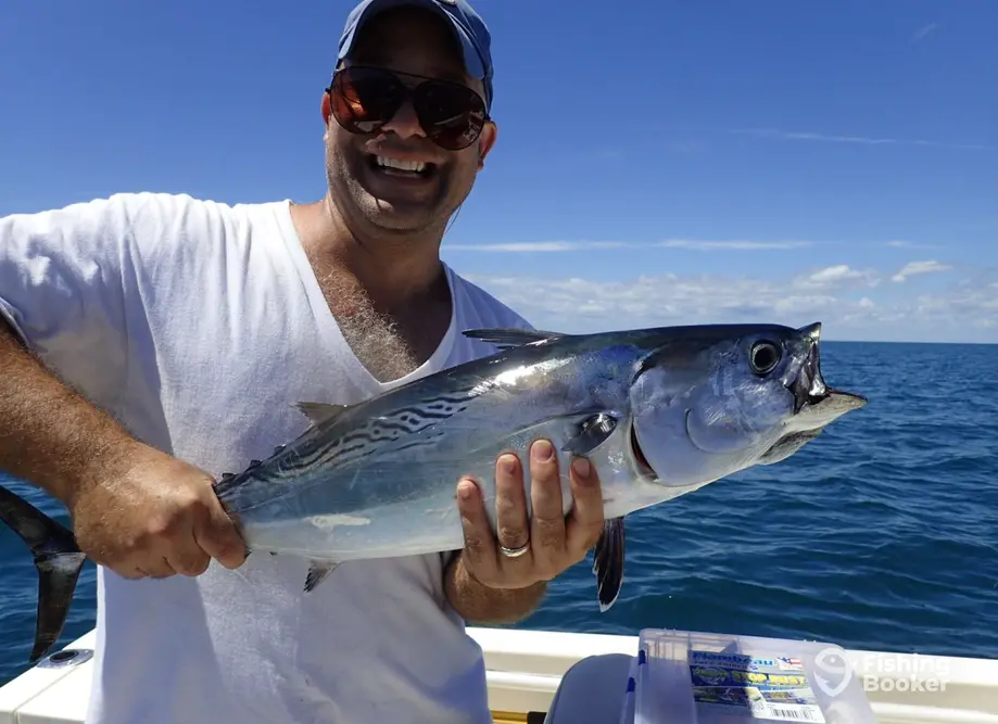Flying Fish Charters
