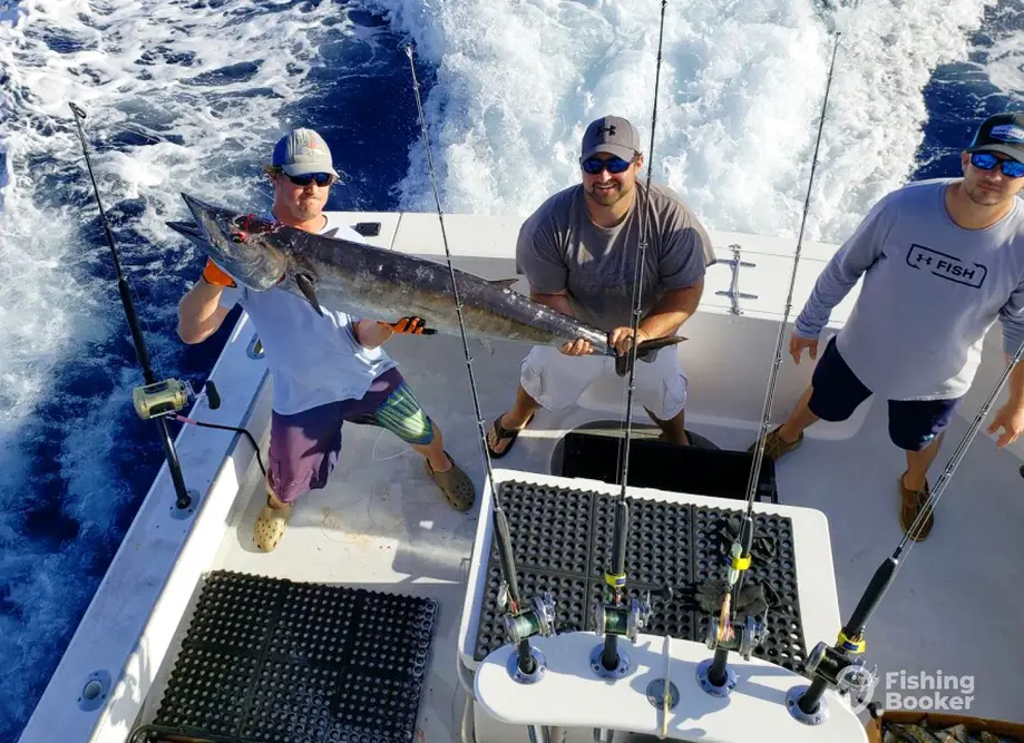Gulf Stream Fishing Charters