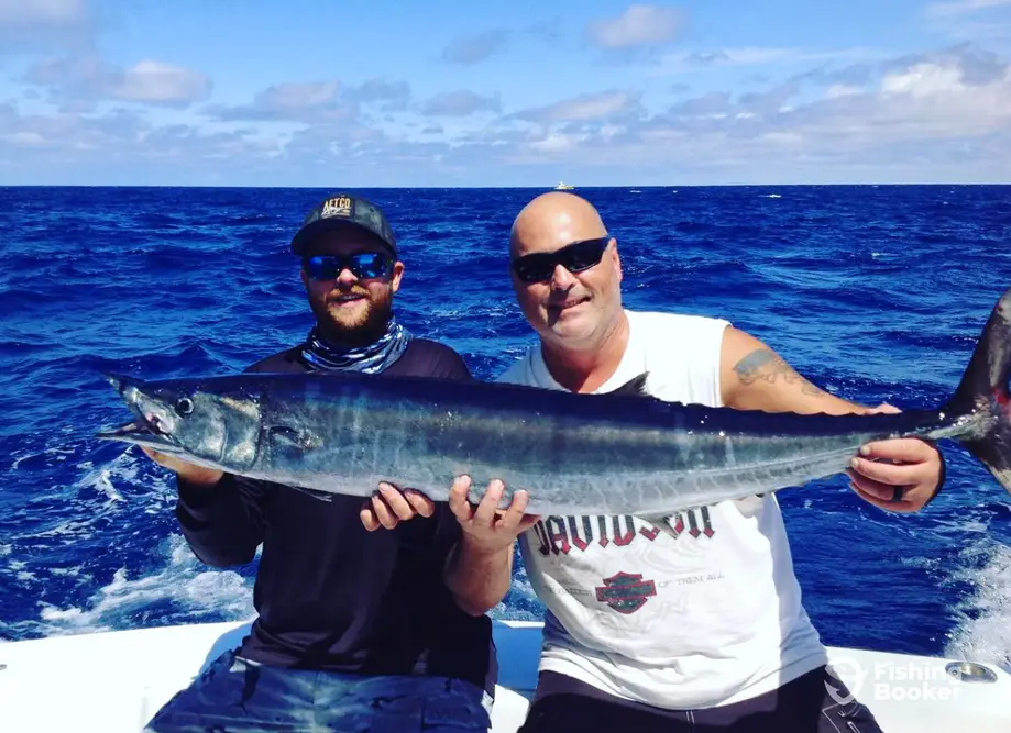 charter image 4