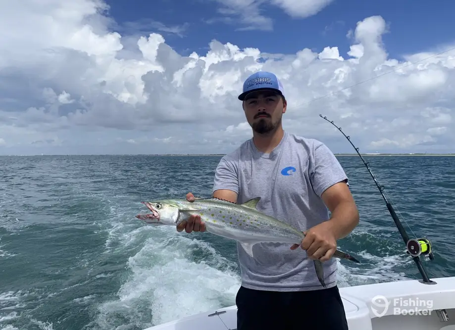 charter image 6