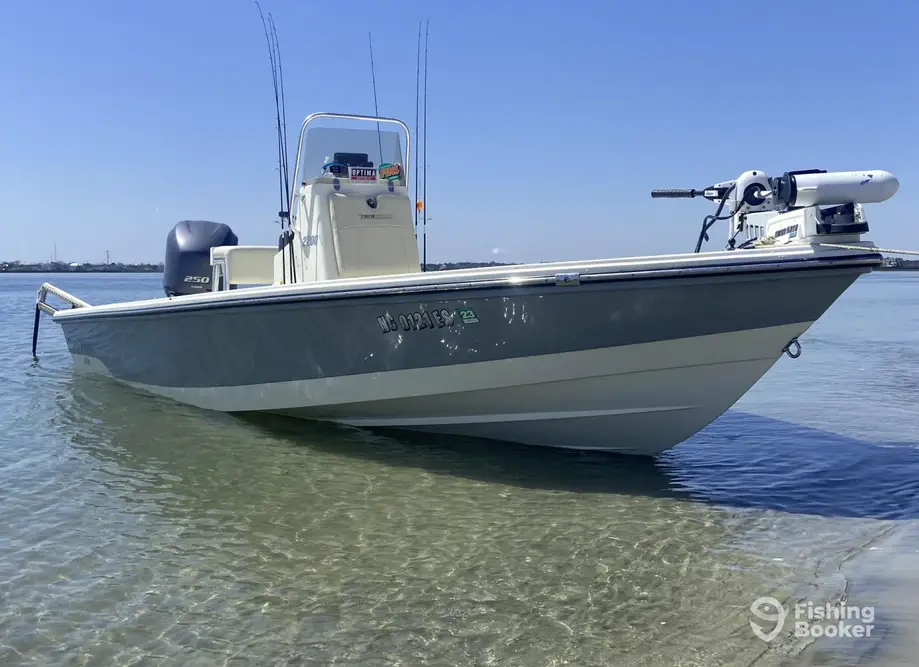 On Deck Charter Fishing