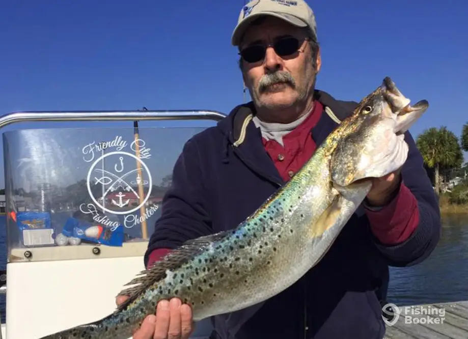 Friendly City Fishing Charters