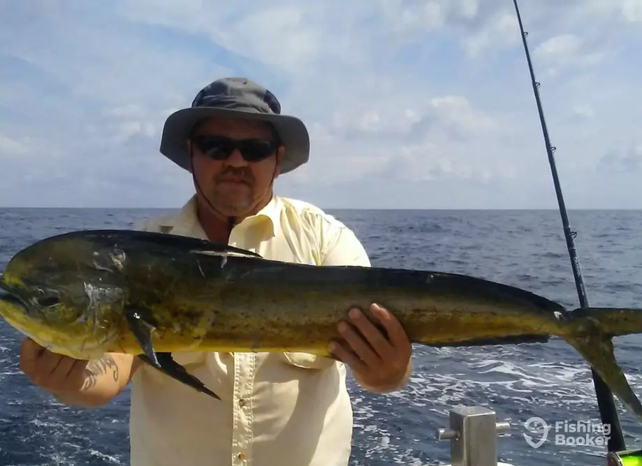 Cricket II – The JAWS Boat charter image 5