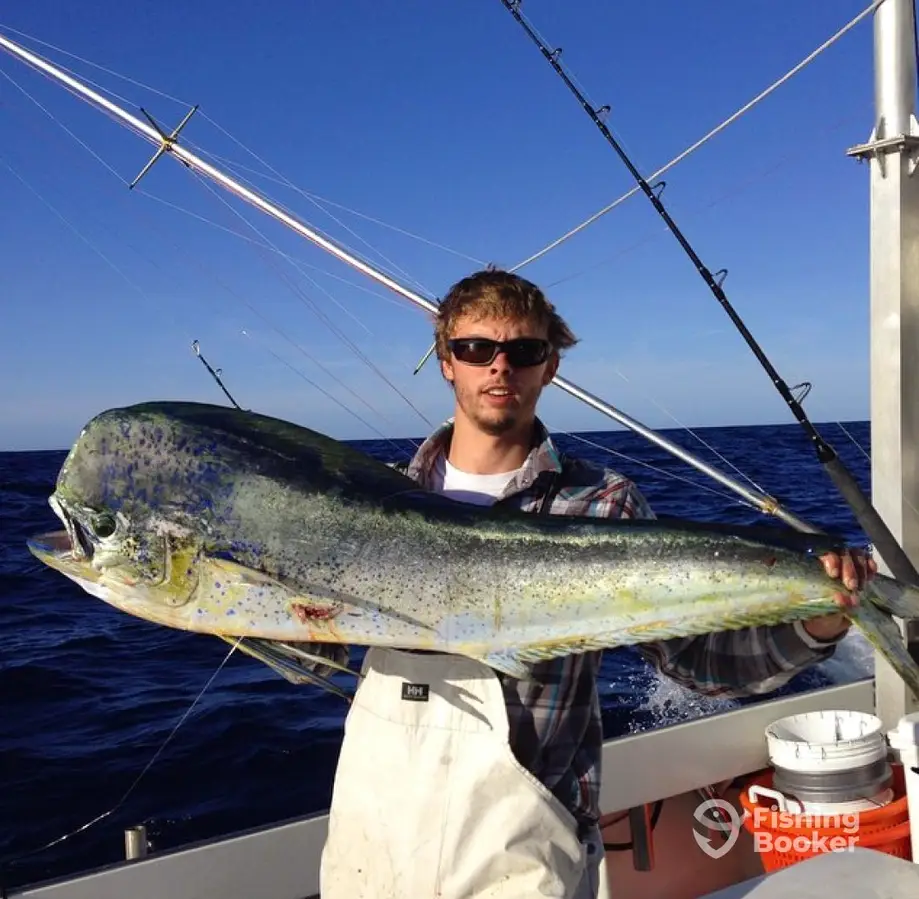 charter image 3