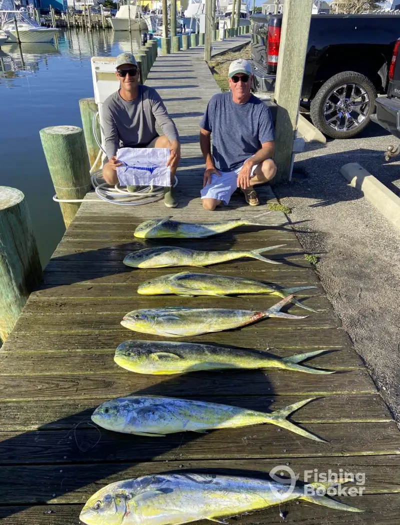 Captain Harrisons Charters