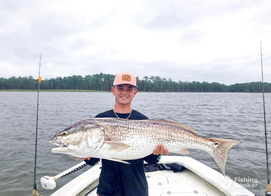 FinchasersUSA Charters