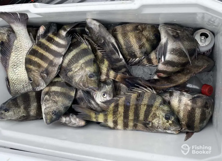 Buck Nasty Fishing Charters