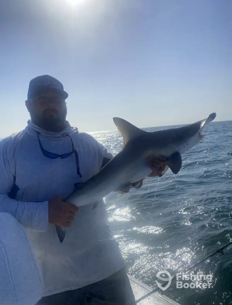 charter image 3