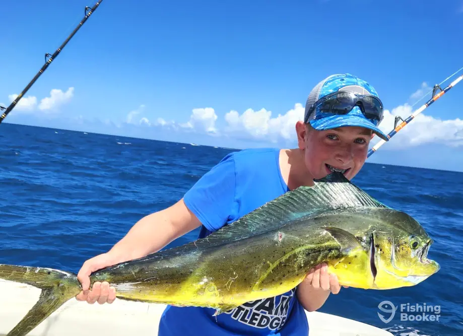 charter image 3