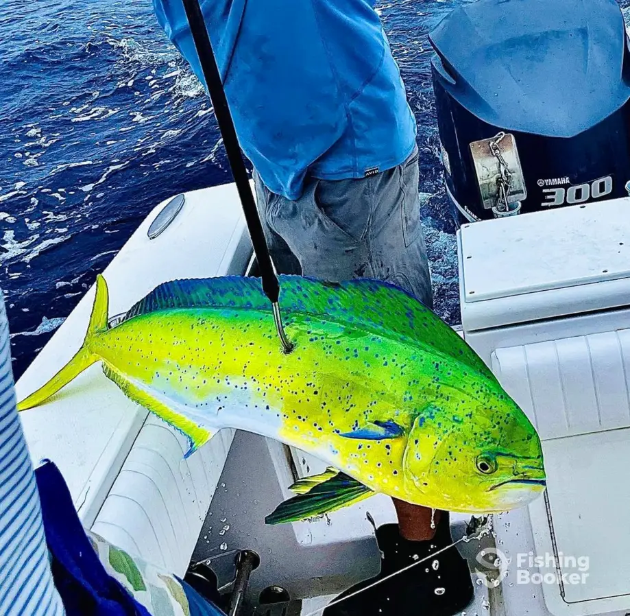 Drifter Sportfishing And Charters charter image 2