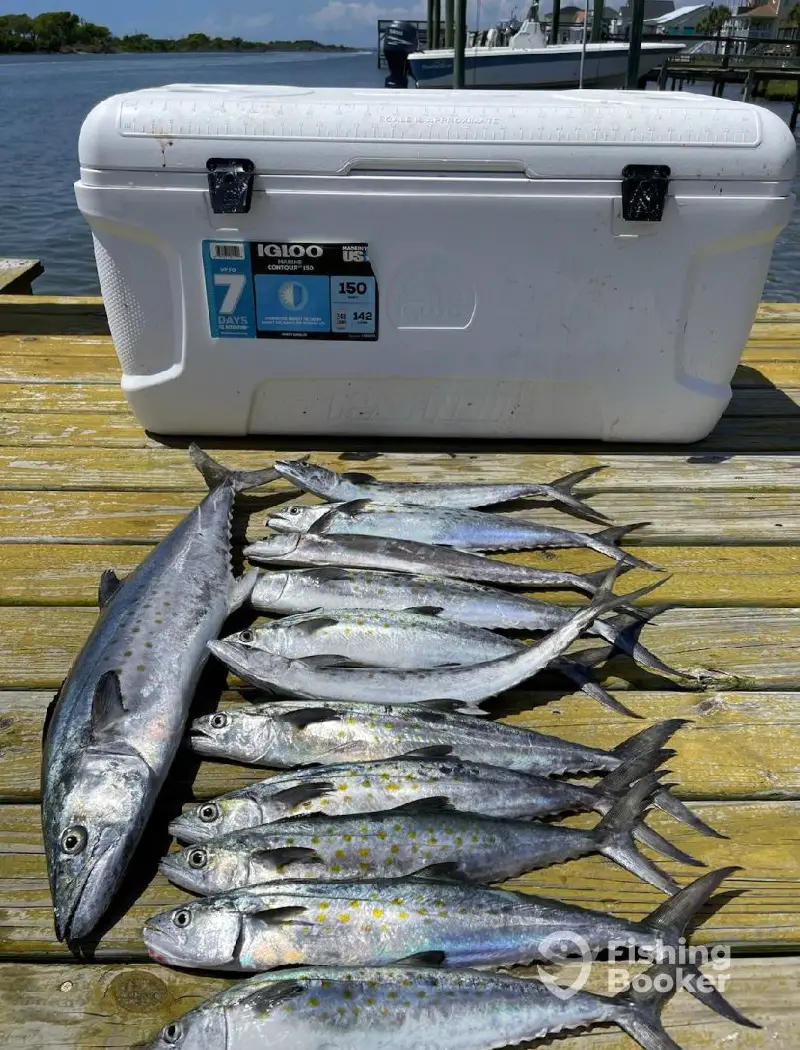 charter image 4