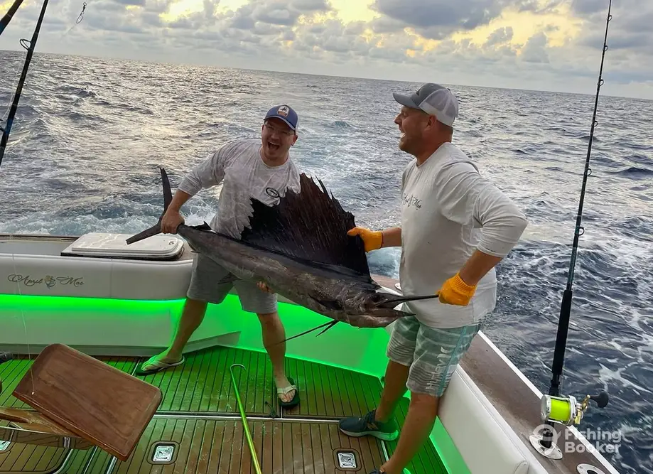 charter image 3