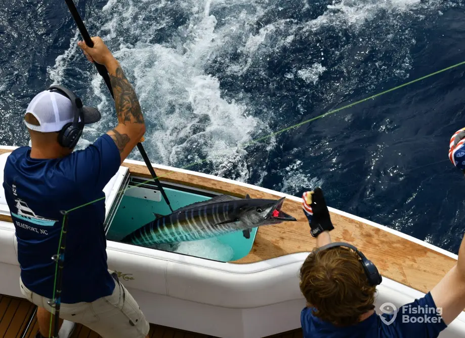 charter image 6
